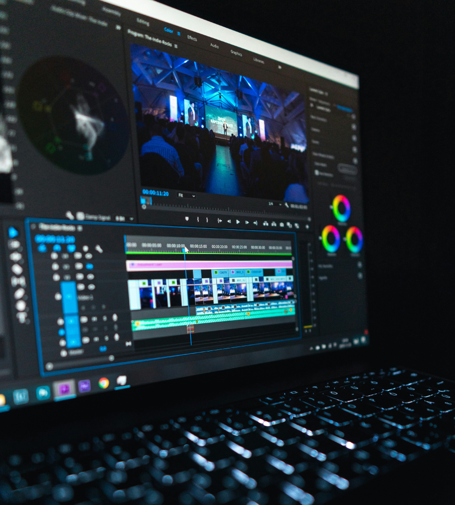 Professional Video Editing